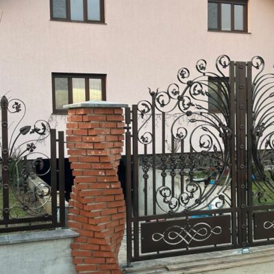 Poartă si gard din fier forjat